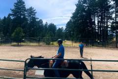 IMG_0705_exported_5720182