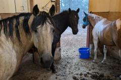 PXL_20240807_001926252.MP_