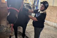 PXL_20240813_214859194.MP_