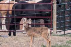 PXL_20240829_140812216.MP_