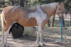 PXL_20240917_231934861.MP_