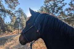 PXL_20241016_144648980.MP_