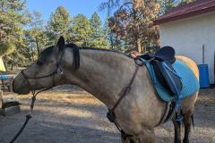 PXL_20241022_225010585.MP_