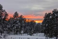 PXL_20241107_235416550.MP_