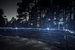 PXL_20241121_002713519.MP_