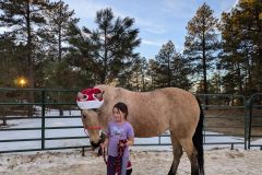 PXL_20241214_231950616.MP_