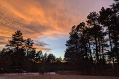 PXL_20241218_234456825.MP_