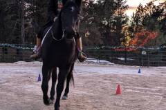 PXL_20241218_235351704.NIGHT_