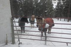 PXL_20250109_232150465.MP_