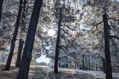 PXL_20250219_152534910.MP_