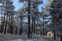 PXL_20250219_152549777.MP_