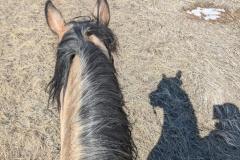 PXL_20250305_203856511.MP_