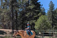 PXL_20250610_174306995.MP2_