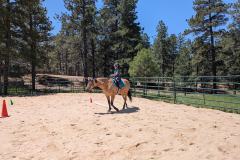 PXL_20250610_174306995.MP_