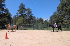 PXL_20250610_175749783.MP_