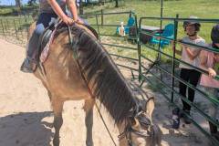 PXL_20250611_165934632.MP_