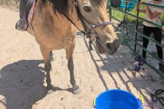 PXL_20250611_165949418.MP_