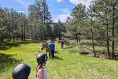 PXL_20250612_161148772