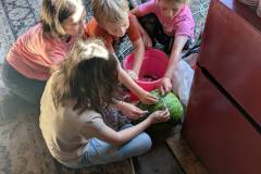 PXL_20250613_150613780.MP_