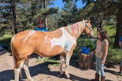 PXL_20250613_154345670.MP_