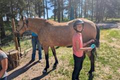 PXL_20250613_154350040.MP_