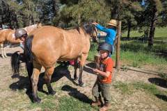 PXL_20250613_154422636.MP_