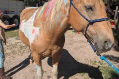 PXL_20250613_154527795.MP_