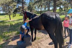 PXL_20250613_154642803.MP_