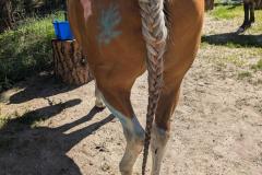 PXL_20250613_155748903.MP_