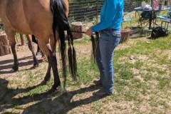 PXL_20250613_155952084.MP_