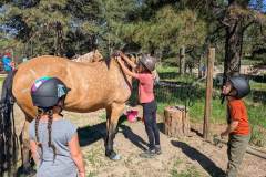 PXL_20250613_160001338.MP_