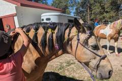 PXL_20250613_160010461.MP_