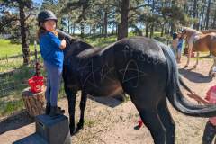 PXL_20250613_160040245.MP_