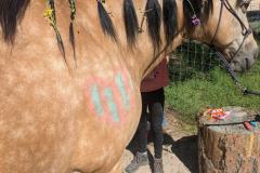 PXL_20250613_160351627.MP_