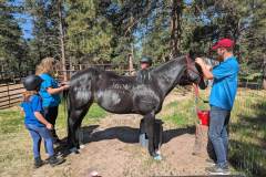 PXL_20250613_160409642.MP_