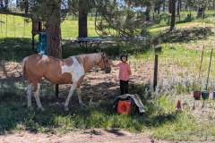 PXL_20250613_172025848.MP_