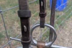 PXL_20250730_234714832.MP_