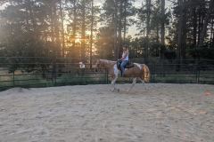 PXL_20250815_011655338.MP_