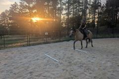 PXL_20250815_011856541.MP_