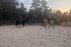 PXL_20250815_012002503.MP_