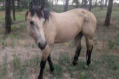 original_1fbe9378-cc12-4c97-b50f-7970bfa5cd4a_PXL_20250730_205343915