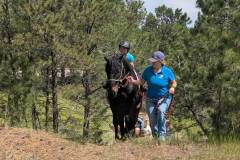 original_4adf8f79-fa35-4b76-8275-2a22cda79061_PXL_20250612_163357603